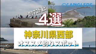 【必見❗️】神奈川県西部オススメ海釣りスポット4選！釣り初心者は必ず見るべき！駐車場・トイレ付き！4月上旬の釣り場、雰囲気公開！