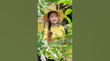 Lài Thái hoa chuỗi toả hương thơm ngọt ngào #hoanglonggarrden #laithai #hoathom