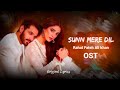 Sunn Mere Dil - Rahat Fateh Ali Khan (Lyrics)