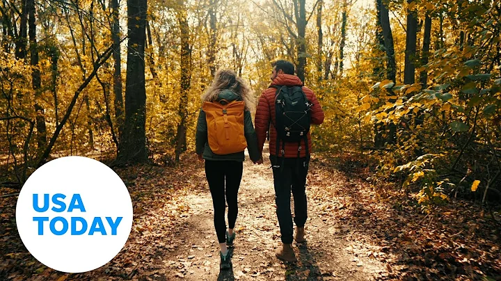 As autumn moves in, leaves change color before they fall from trees — here's why | USA TODAY