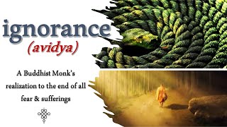 What is Ignorance (avidya) | A Buddhist Monk's Realization To End All Fear & Sufferings