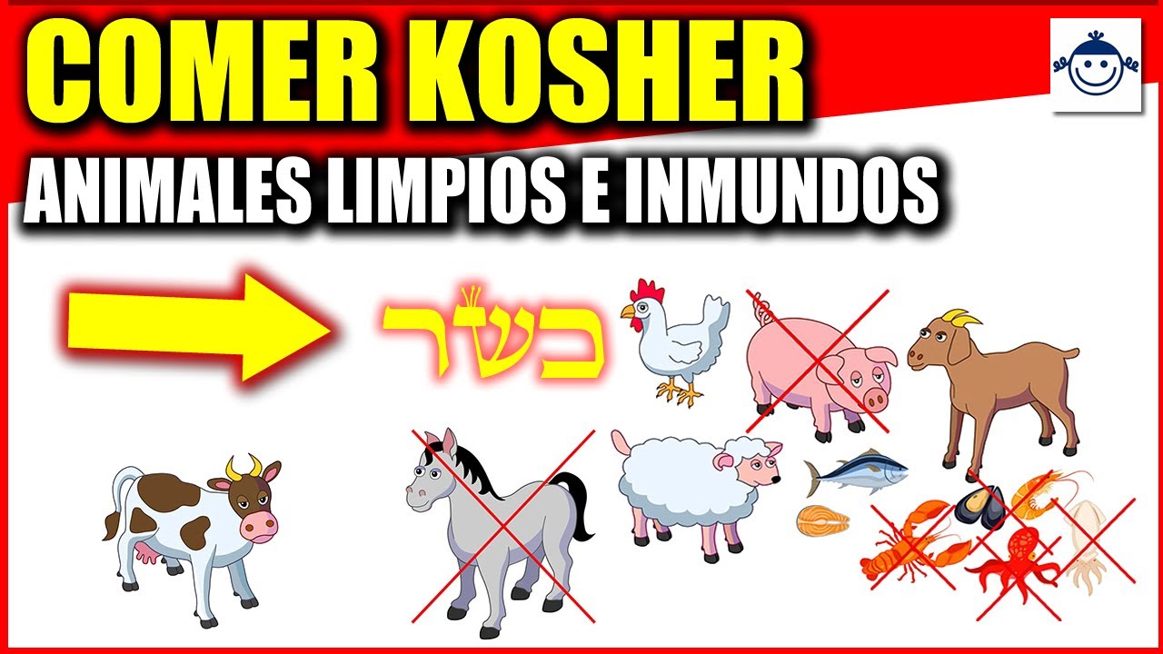 Animales Inmundos Segun La Biblia