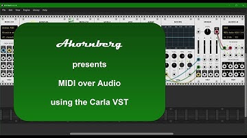 Ahornberg VCV Module 