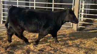 FCDC Lot 99