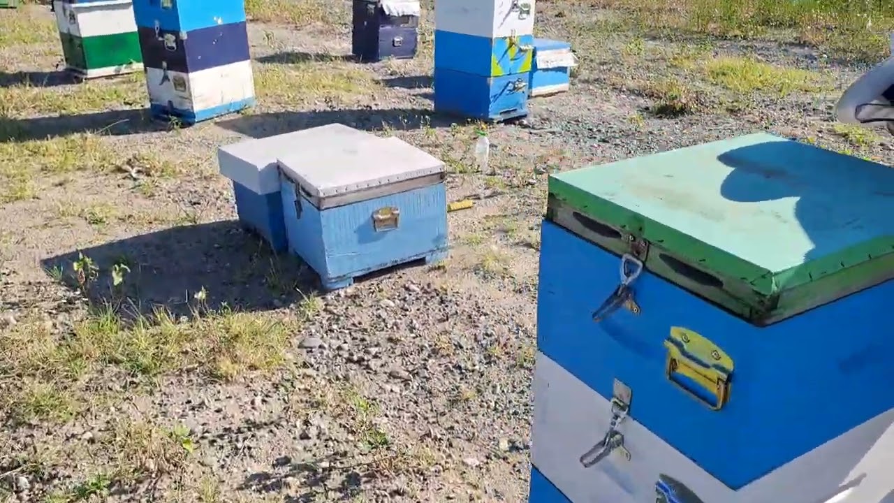 Ανθομελα 2023