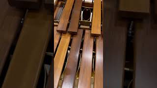 Funky 5 Oct. Marimba