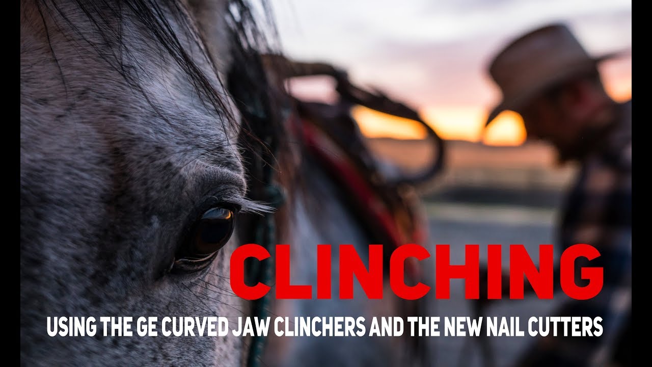 Clenche à Clous Pour Chevaux – Outil De Maréchalerie S.S (neuf)