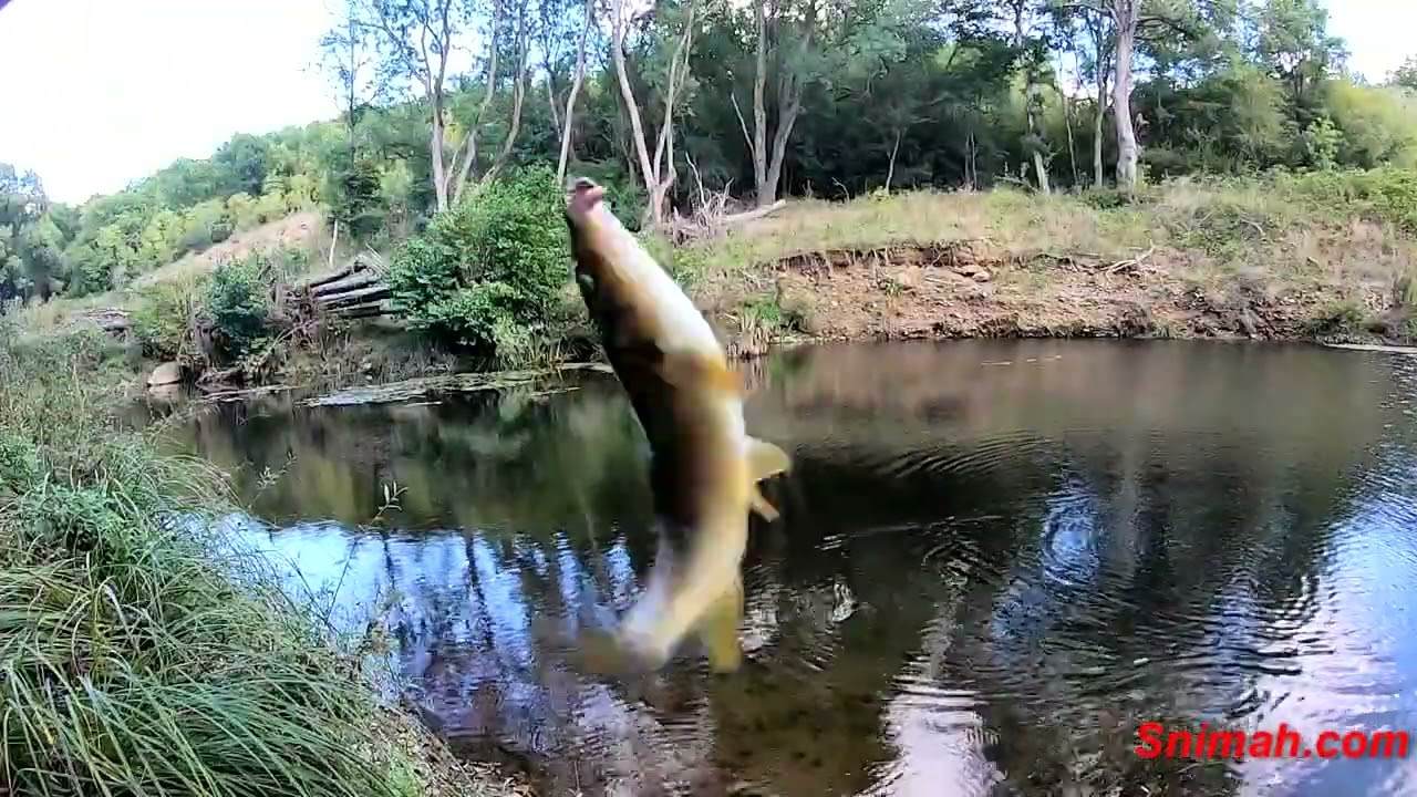 През септември къде, ако не в Приморско - част 1. Река Трионска.