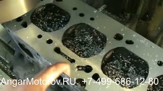 Ремонт Двигателя Пежо 307 2008 ион 807 3008 508 партнер 308 1007 108 206 607 301 207 408 208 407 Ремонт Двигателя Пежо 307 2008 ион 807 3008 508 партнер 308 1007 108 206 607 301 207 408 208 407