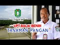 PERTANIAN : BALAI BENIH TANAMAN PANGAN