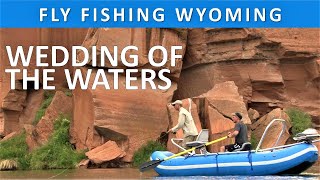 Fly Fishing Wyoming's Bighorn River (Wedding of the Waters) [Series Episode #43]