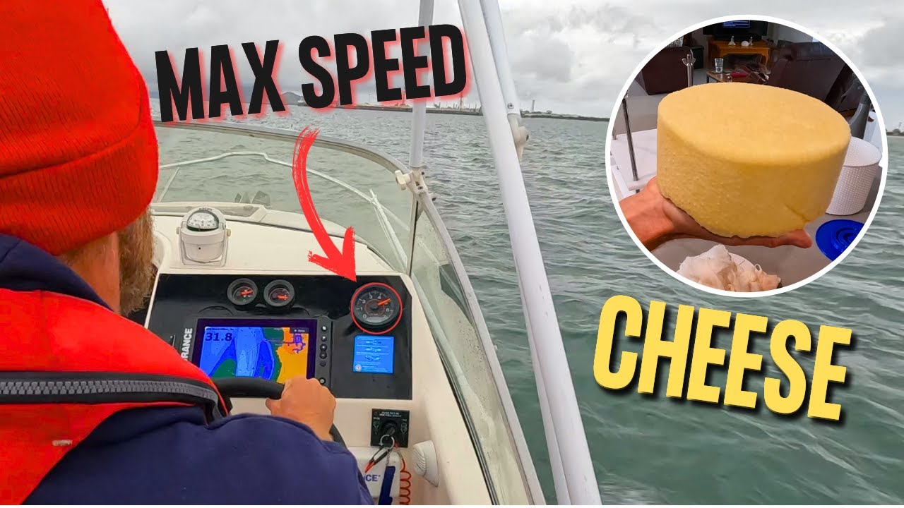 Speeding Boats, Big Snapper & Cheese Making! / First Taste Of NZ  Ep 143