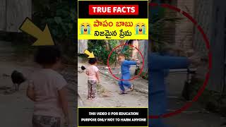 Little Boy Shows Love On Girl పప బబ