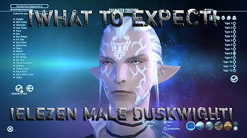 Final Fantasy XIV:ARR Character Creation Elezen male Duskwight