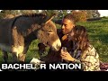 Matt &amp; Serena P.&#39;s Animal Adventure | The Bachelor