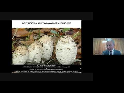 Identification and Taxonomy of Mushrooms  2021