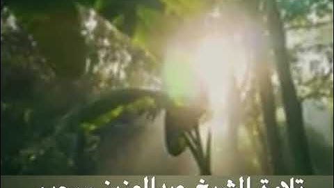 سورة آل عمران رَبَّنَا لَا تُزِغْ قُلُوبَنَا بَعْدَ إِذْ هَدَيْتَنَا تلاوة الشيخ عبدالعزيز سحيم