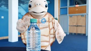 #BottleCapChallenge