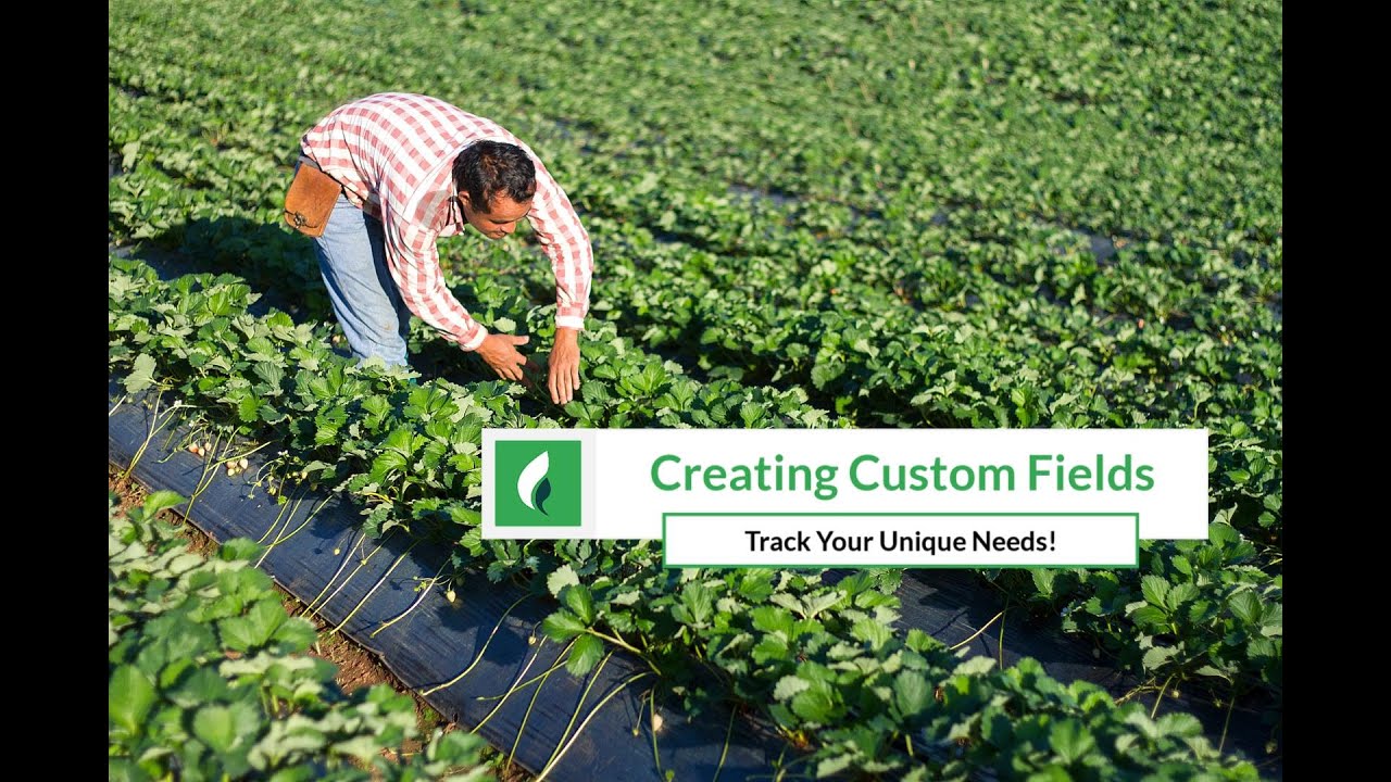 Creating Custom Fields - YouTube