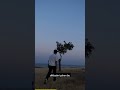 Kzlkayann Gizemi Kaybolan Uygarlgn Pesinde
