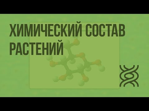 Химический состав растений. Видеоурок по биологии 6 класс