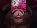 Cute Baby 🍼🍼🍼🍼🍼🍼