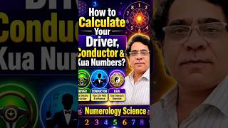 Find Your Driver, Conductor &amp; Kua Numbers in Easy Steps! ✨