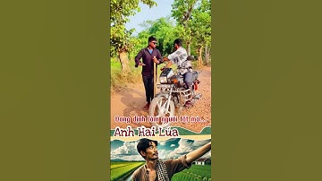 Đang định làm người tốt thì biết mình đã bị lừa #vuinhon #haihuoc #giaitri