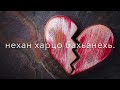 О разбитом сердце «Дог»💔