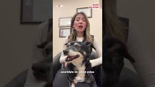 Can dostlar evlerde bakılablir mi?