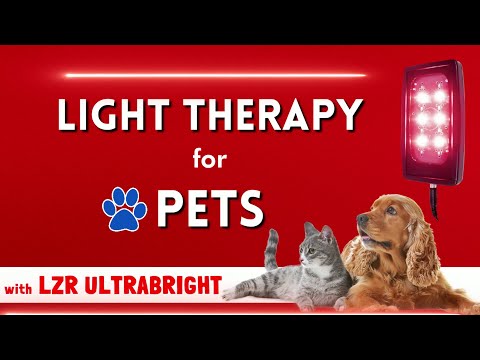 Video: Protizánětlivá světelná terapie pro psy