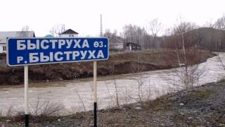 Быструха или Филипповка?