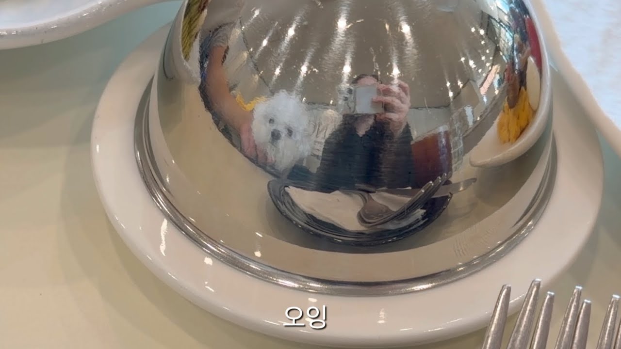 자세히 보면 강아지 있어요🐶