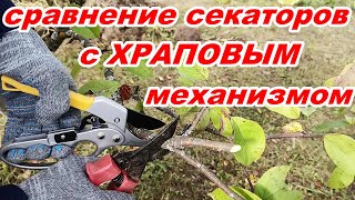 Отличный секатор с храповым механизмом !  Сравнение секаторов в работе ! Выбрать садовый секатор !