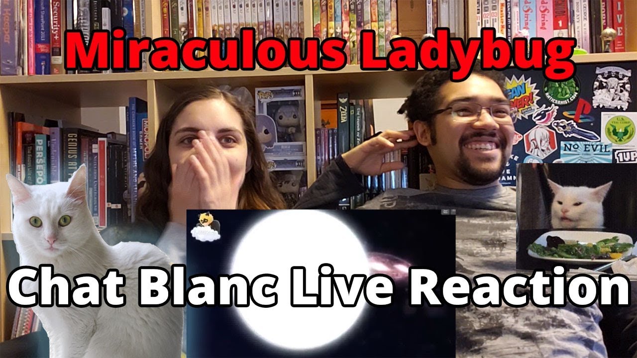 Chat Blanc Live Reaction Miraculous Ladybug S3