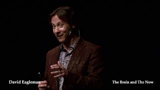 The Brain and The Now | David  Eagleman