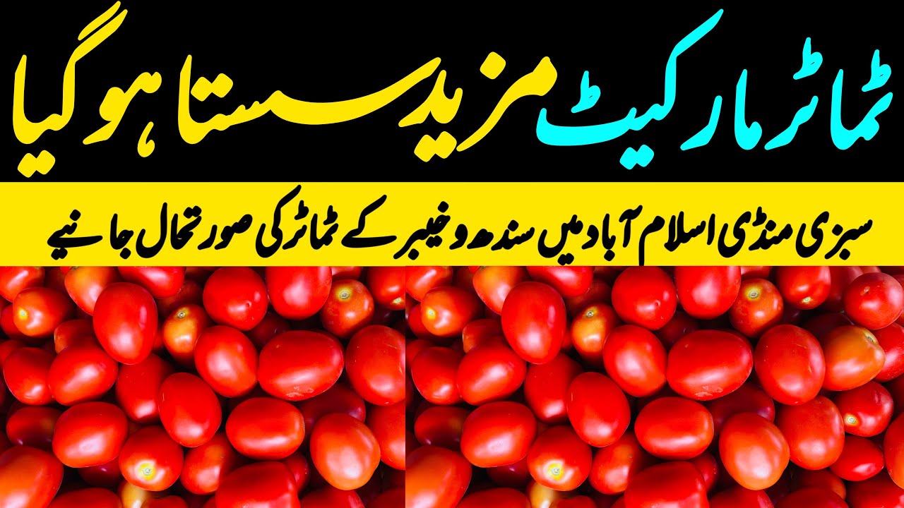 Tomato Market | Cheap Prices | Sabzi Mandi Islamabad | 13 February 2026 | Tomato Auction Update 