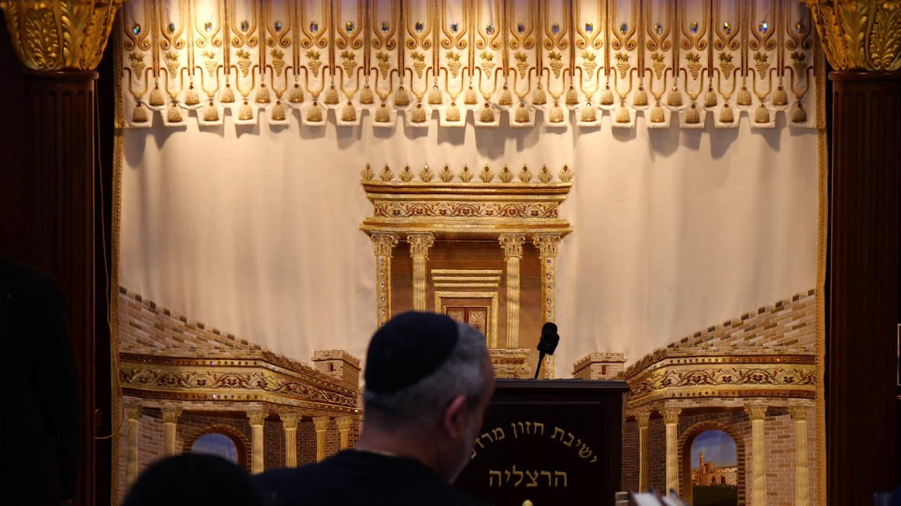הרב מאיר דוד שמואלי שליט"א - שידור חי יום א' - ערב ראש השנה תשפ"ו