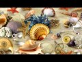Paul Hardcastle - Let This Love Begin