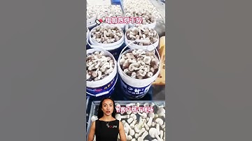 #fcnfm Drying Room & Machine with Enhanced Dehydration Technology