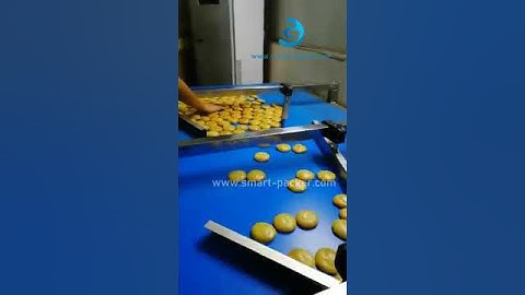 Cake biscuit cookie horizontal sorting feeding pillow type flow film wrapping bagging machine video