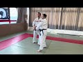 正面打ち側面入身投げ⑵ Shoken-Uchi Sokumen-Iriminage 2 #aikido #合気道 #錬身会 #創和会 #sowakai #Tsuganezawa #津金沢
