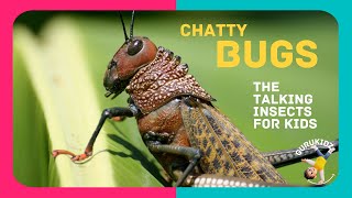 Chatty Bugs   The Talking insects of the World for Kids by GURUKIDZ