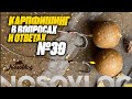 Карпфишинг в вопросах и ответах #39, Артём Колесников