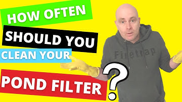 How often should you clean your koi pond filter?