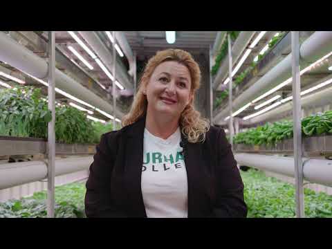 The Barrett Centre: Innovation at Durham College | Brand Story Video