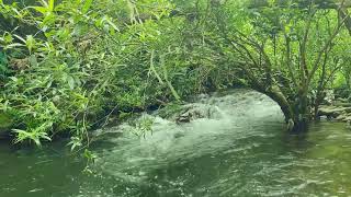 10 Hours of Gentle Stream Sounds, River Sounds for Sleeping  Nature Sounds to Beat insomnia, Relax