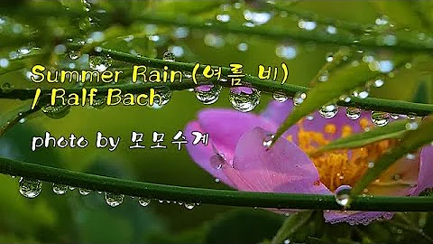 Summer Rain (여름 비) / Ralf Bach & photo by 모모수계