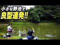 住宅街にひっそり佇む小さな野池。まさかの良型ヘラブナが連発!