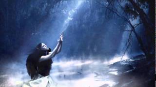 Koan - Two Moon Butterflies